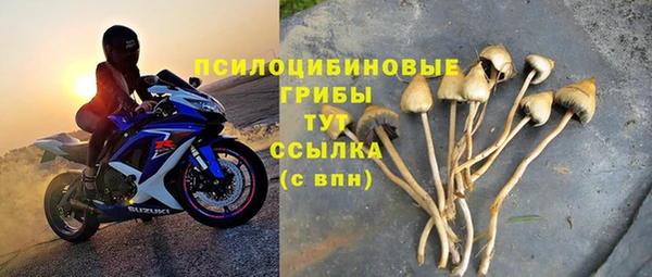 не бодяженный Каменск-Шахтинский