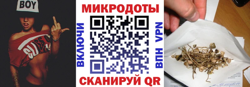 Купить где  Верхний Уфалей  Галлюциногенные грибы Cubensis 